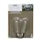 16 Packs: 2 ct. (32 total) Creative Collection&#x2122; Shimmer Lights Edison Replacement ST12 Bulbs by Ashland&#x2122;